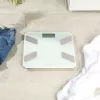 Balança de análise de vidro Salter SA00601WCFEU12