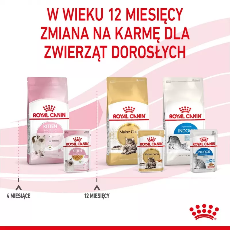 Royal Canin Feline Health Nutrition Kitten Instinctive em molho ração húmida para gatinhos, 12 x 85 g