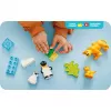 LEGO 10442 Produto