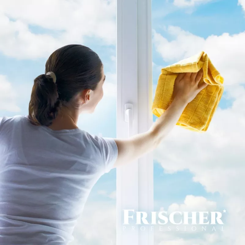 Limpa-vidros FRISCHER FR00233_500 0,5 l com função antiembaciamento