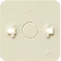 GIRA 008113 Placa de parede/Tampa de interruptor bege (008113)