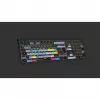 Teclado Logickeyboard ASTRA 2 USB AZERTY inglês preto (LKB-RESB-A2M-FR)