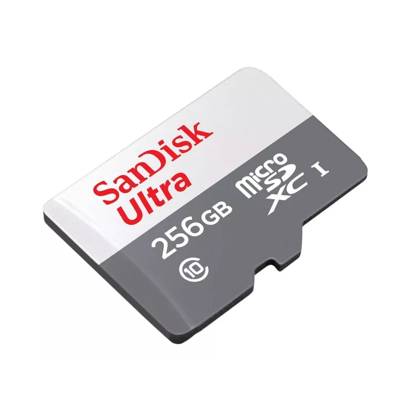 Memória Flash SanDisk 256 GB MicroSDXC UHS-I SDSQUNR-256G-GN6TA