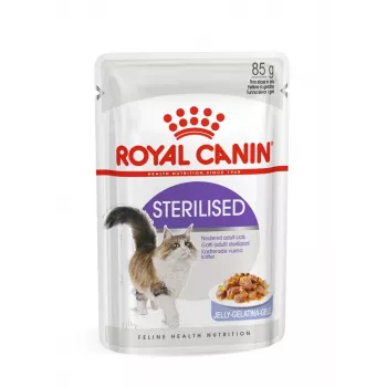 ROYAL CANIN FHN Sterilised in Soße – Comida húmida para gatos adultos – 12x85g