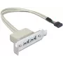 Chapa de slot USB 2.0 DeLOCK 0,5 m
