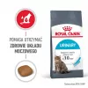 Royal Canin Urinary Care Ração seca para gatos 4 kg