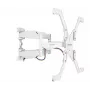 Suporte de secretária para monitor ONKRON para ecrãs LCD LED OLED de 37–70 polegadas, branco