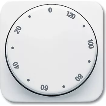 Busch Jaeger 1753-0-6307 Placa de parede/tampa de interruptor branco (1753-0-6307)