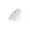 Rato NATEC Crake 2, universal, para destros, RF Wireless + Bluetooth, ótico, 2400 DPI