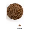 ACANA Dog Puppy - Alimento seco para cães - 11,4 kg