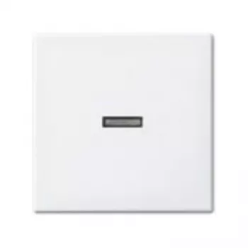 Busch-jaeger 2CKA001731A2009 branco