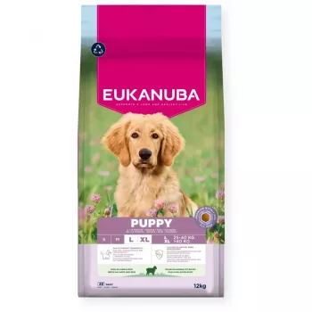 EUKANUBA Puppy L XL rico em borrego e arroz - Alimento seco para cães - 12kg