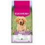 EUKANUBA Puppy L XL rico em borrego e arroz - Alimento seco para cães - 12kg