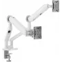 Suporte para monitor ALOGIC C32GMA2 para ecrãs de 32 polegadas