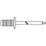 Rebite cego GESIPA Polygrip 4,8×25 Al/Aço, intervalo de aperto 11,0–19,5 mm — embalagem de 250