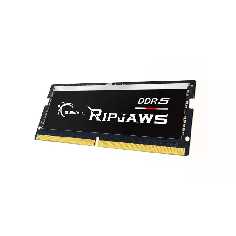 Módulo de memória G.Skill Ripjaws F5-4800S4039A16GX1-RS 16 GB 1 x 16 GB DDR5 4800 MHz