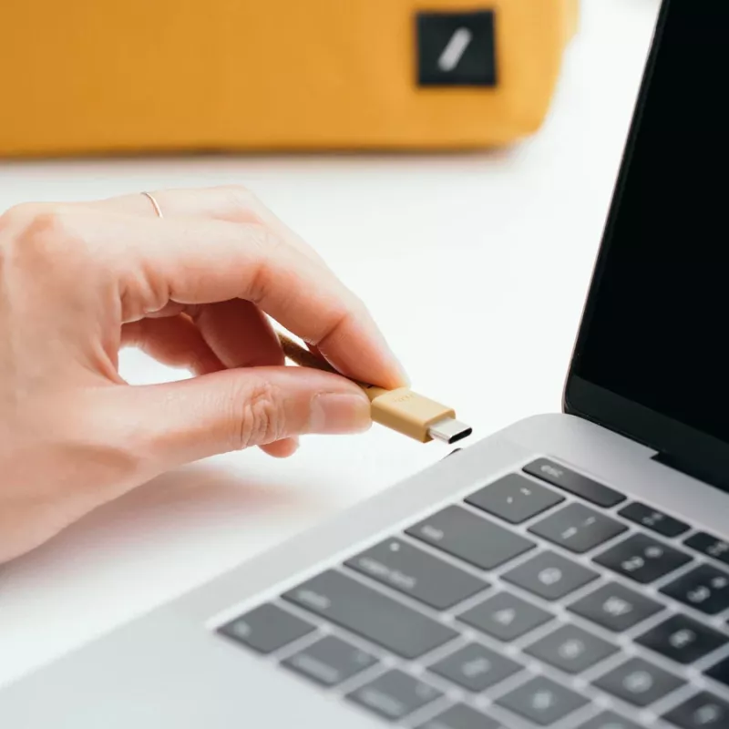 Native Union Anchor cabo USB-C para USB-C, 240 W, 3 m, Zebra