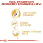 Royal Canin Bengal Adult ração seca para gatos, 2 kg, aves e legumes