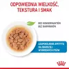 ROYAL CANIN SHN Mini Puppy in Sauce - Comida húmida para cachorros - 12X85g