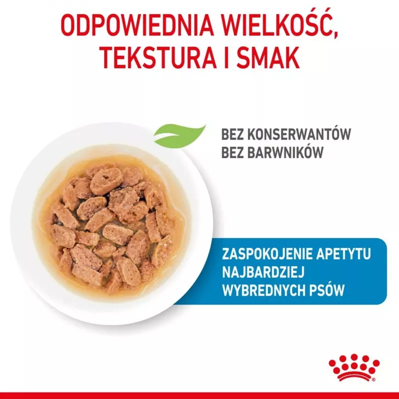ROYAL CANIN SHN Mini Puppy in Sauce - Comida húmida para cachorros - 12X85g
