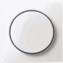 Merten MEG5250-0325. Cor do produto: branco (MEG5250-0325)