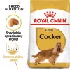 Royal Canin Cocker Adult ração seca para cães, 12 kg
