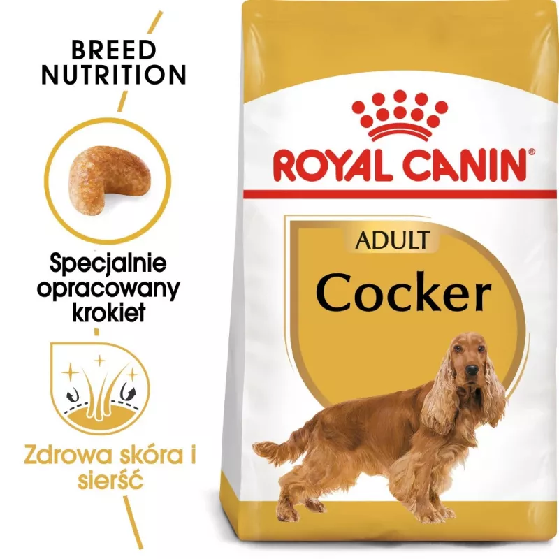 Royal Canin Cocker Adult ração seca para cães, 12 kg