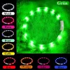 Coleira LED Anicoll verde para cães e gatos modelo iluminação recarregável