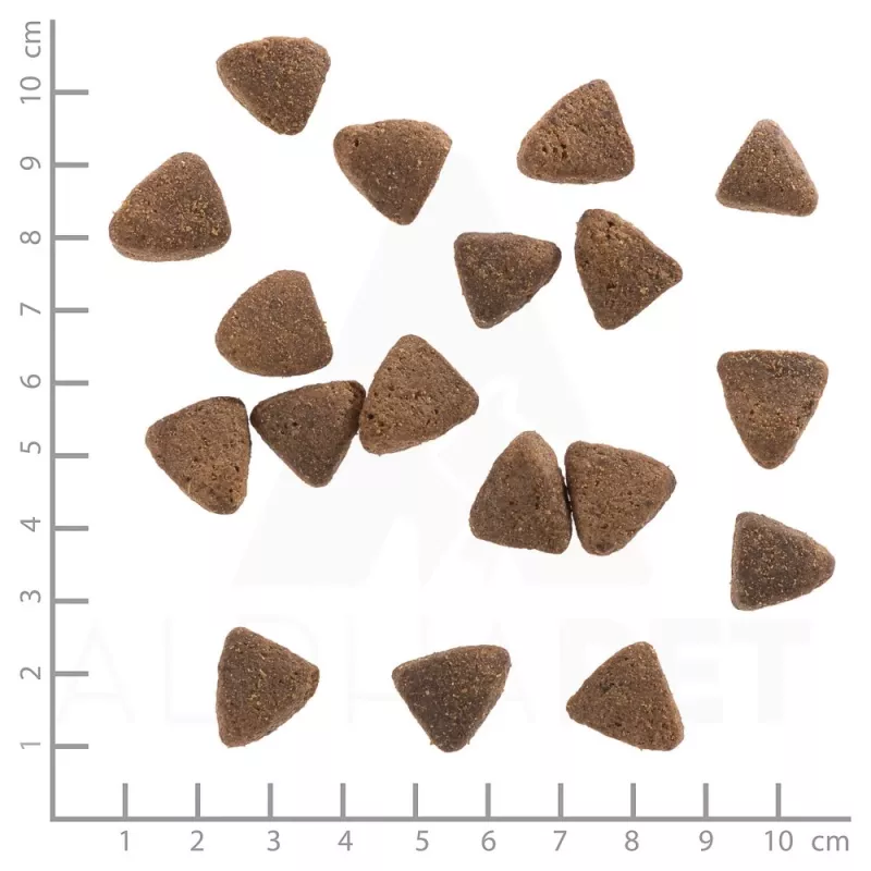 WOLFSBLUT Wide Plain Light Horse com Batata-doce - Alimento para cães - 2 kg