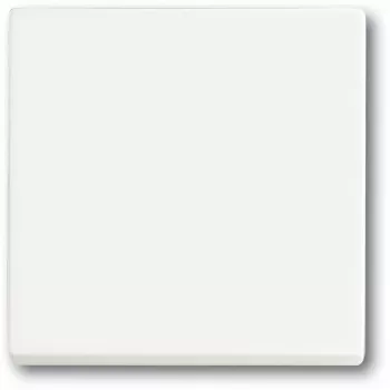 Interruptor de luz Busch-Jaeger 1751-0-3027 — caixa de plástico, branco, controlo por tecla, 63×63 mm