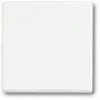 Interruptor de luz Busch-Jaeger 1751-0-3027 — caixa de plástico, branco, controlo por tecla, 63×63 mm