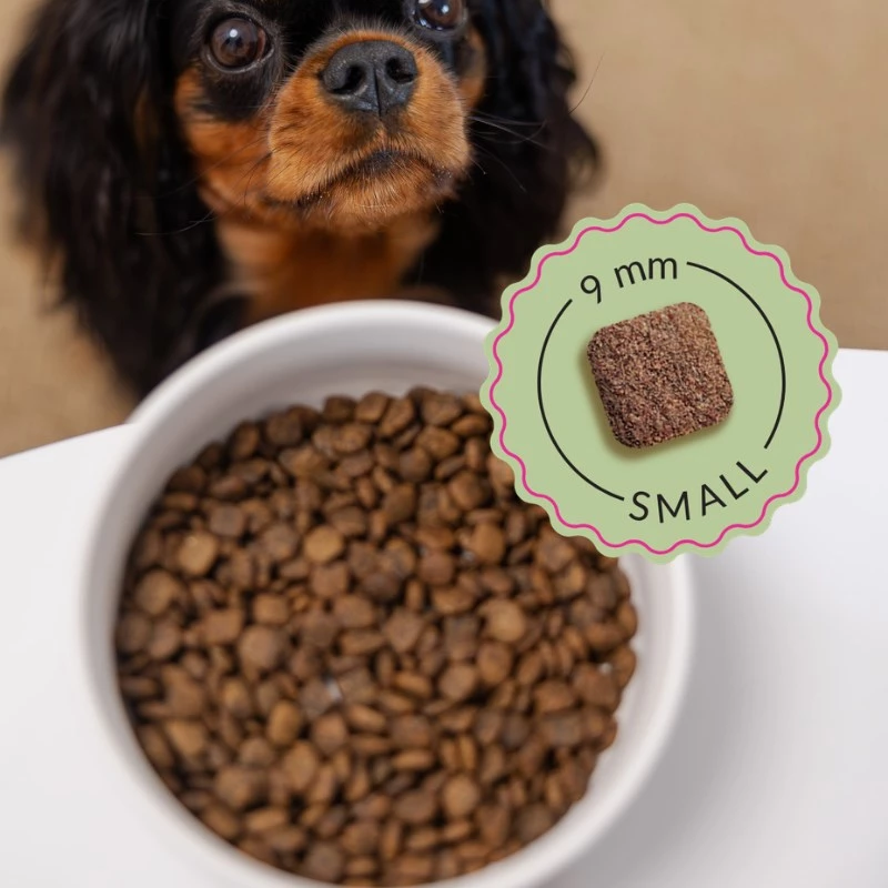 ADDVENA Boosted by superfoods Junior Small Beef - alimentação seca para cães - 2,5 kg