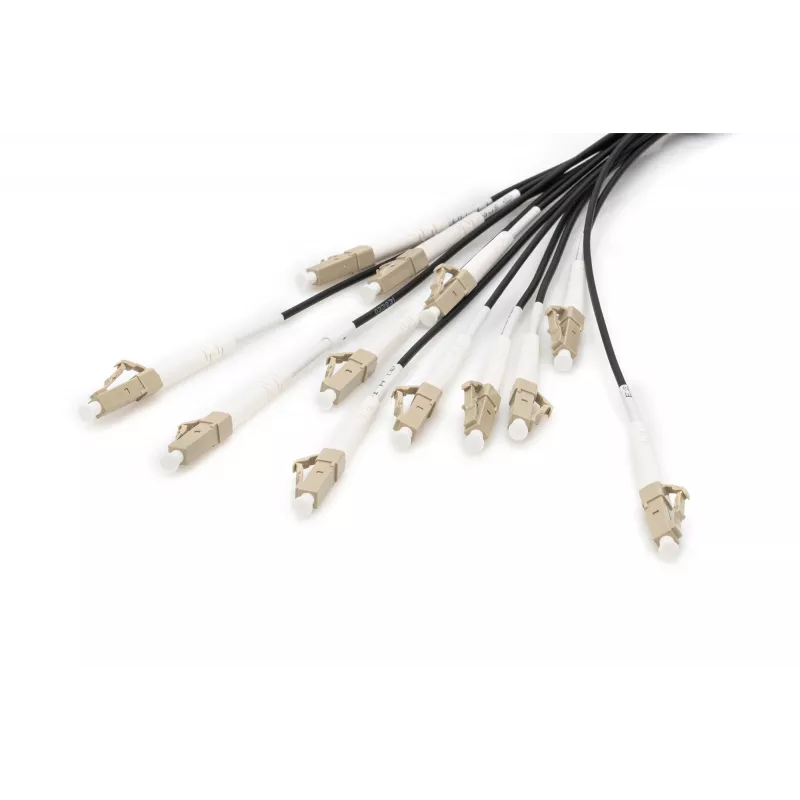 Cabo breakout Digitus DK-2433CU030BK-BBB 30 m OM4 12 fibras LC/UPC