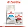 Royal Canin Indoor 27 ração seca para gatos, 2 kg