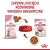 Royal Canin FHN Kitten Sterilised alimento húmido para gatos em molho, embalagem de 12 x 85 g
