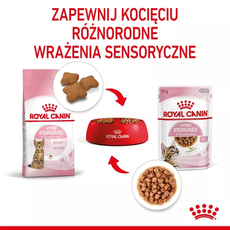 Royal Canin FHN Kitten Sterilised alimento húmido para gatos em molho, embalagem de 12 x 85 g