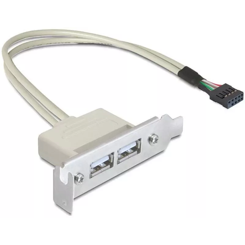 Chapa de slot USB 2.0 DeLOCK 0,5 m