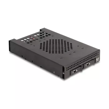 Caixa para SSD DeLOCK 47117 baía removível de 3,5 polegadas para 2 x SSD M.2 NVMe