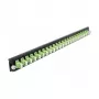 Painel frontal para caixa de fusão DeLOCK 19 polegadas 43362 24 portas LC Duplex limegreen