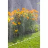 Mangueira de aspersão GARDENA 7,5 m (1995-20)