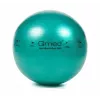 Bola de reabilitação ABS com bomba, 65 cm