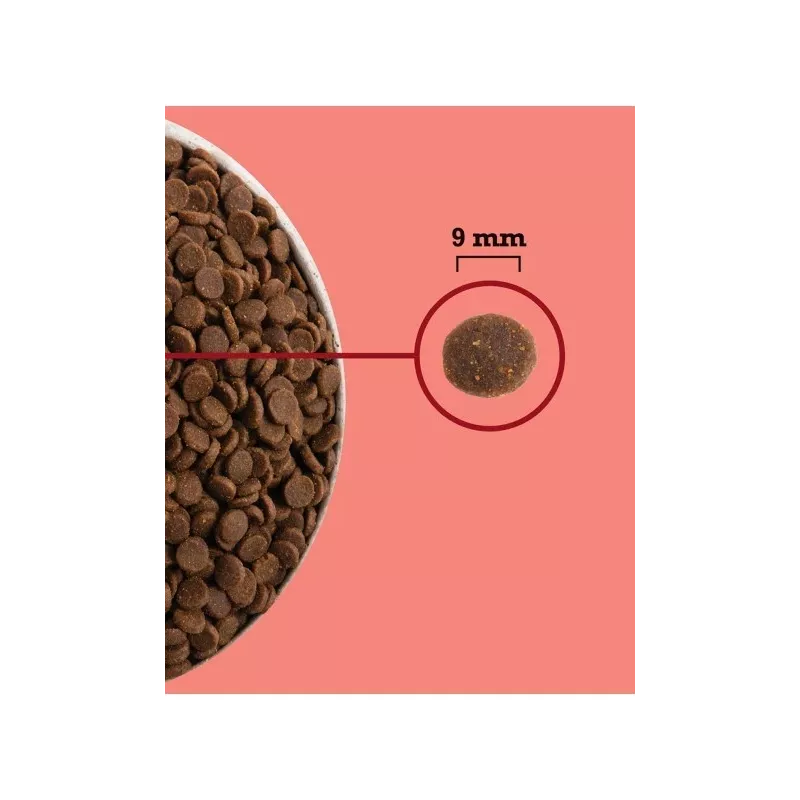 ACANA Highest Protein Interior Cat - Alimento seco para gatos - 1,8kg