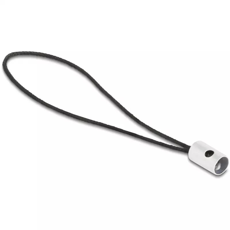 Adaptador de cabo DeLOCK 60688 USB 2.0 Type-C para 8-Pin Lightning antracite