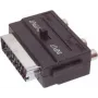 Adaptador de áudio ShiverPeaks 22224031 – 3 conectores fêmea RCA estéreo