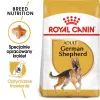 Ração seca para cães Royal Canin German Shepherd Adult, 11 kg — raça grande, aves, 24 % proteína, 19 % gordura