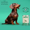 OLLO Umami ganso e peru - Ração húmida para cães - 850 g
