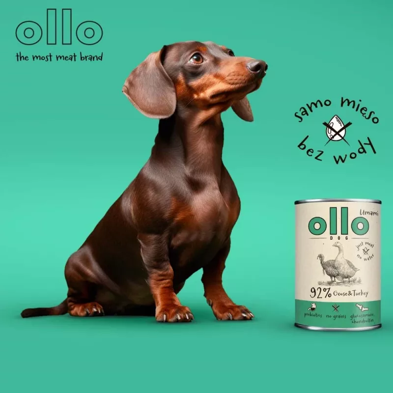 OLLO Umami ganso e peru - Ração húmida para cães - 850 g