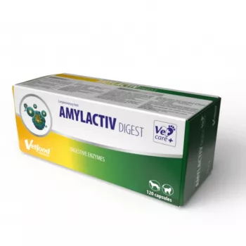 Cápsulas de suplemento digestivo Vetfood Amylactiv para cães e gatos, 120 cápsulas, suplemento alimentar, 100 g