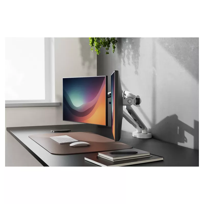 Suporte de monitor DIGITUS Dual-Design para 2× ecrãs de 35 polegadas, grampo, 2×10 kg, VESA 75–100, inclinável -45–90°