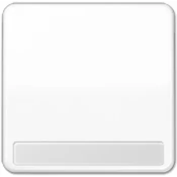 JUNG CD 590 NA WW tecla basculante com campo de etiquetagem, branco